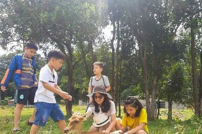 Từ trạm cứu hộ động vật đến điểm du lịch hấp dẫn