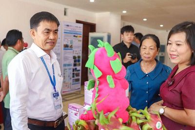 Hợp tác xã thay đổi tư duy sản xuất của nông dân