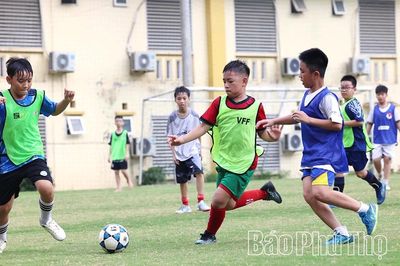 Ươm mầm năng khiếu bóng đá
