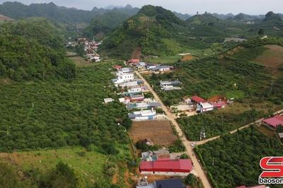 Trái ngọt trên vùng đất Yên Sơn