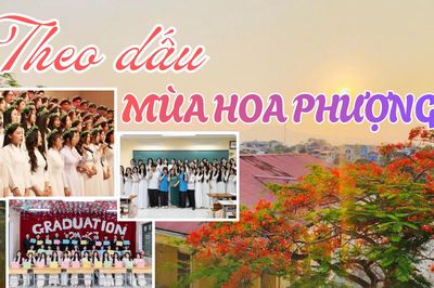 Theo dấu chân mùa hoa phượng
