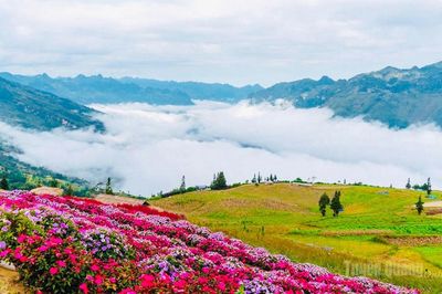 Đánh thức mùa hè xanh giữa đại ngàn