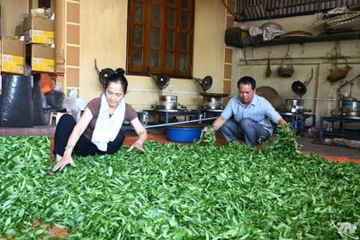'Chắp cánh' cho chè Đồng Hỷ bay xa