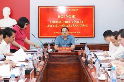 Xây dựng xã Tân Cương thành trung tâm kinh tế trà và du lịch sinh thái của tỉnh
