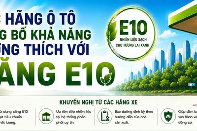 Hàng loạt hãng ô tô khẳng định các dòng xe tại Việt Nam tương thích với xăng sinh học E10