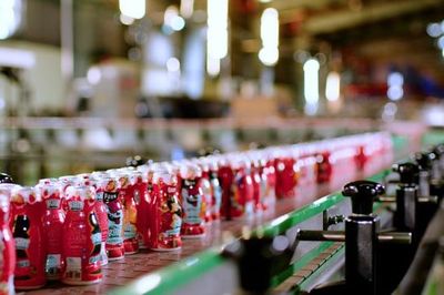 Sữa Quốc tế Lof báo lãi quý 1/2026 tăng 130%