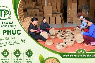 Hành trình vươn xa của HTX Tân Phúc từ sợi cói quê hương