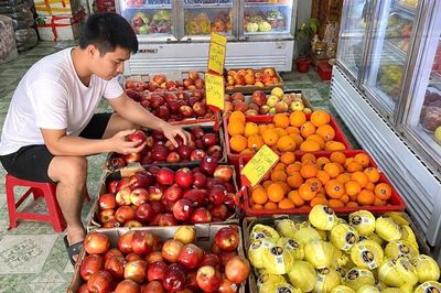 Tem trái cây nhập khẩu: Bí quyết chọn mua đúng nhu cầu