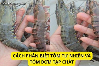 Cách phân biệt tôm tự nhiên và tôm bơm tạp chất: Cứ nhìn điểm này là biết ngay