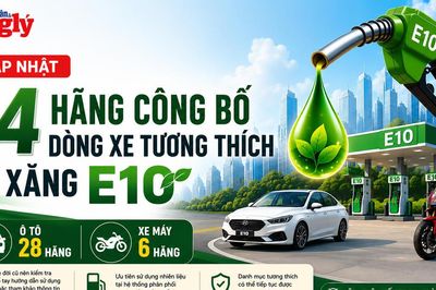 34 hãng công bố dòng xe tương thích với xăng E10