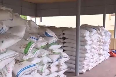Gia hạn biện pháp chống bán phá giá đường mía Thái Lan thêm 5 năm