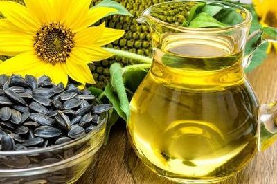 Tận dụng phụ phẩm dầu hướng dương để sản xuất bánh mì giàu dinh dưỡng và bền vững