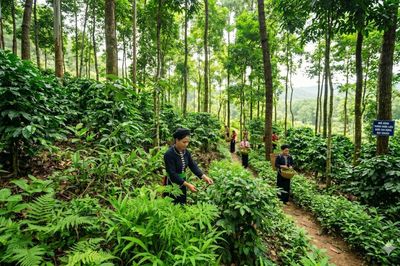 Cần tháo gỡ 'khoảng trống' quản lý hơn 3 triệu ha rừng do UBND cấp xã quản lý