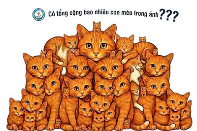 Có bao nhiêu con mèo trong bức ảnh 'hoa mắt' này?