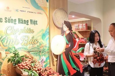 Kết nối đa kênh, mở rộng đầu ra cho vải Thiều Bắc Ninh