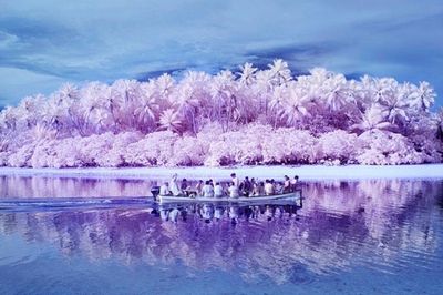 Hòn đảo nơi người dân hầu hết đều bị mù màu: Mọi chuyện bắt đầu vào năm 1775