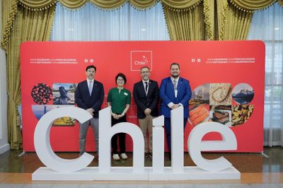 Cá hồi, anh đào và rượu vang Chile đẩy mạnh vào Việt Nam