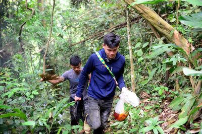 Người dân vùng cao Thanh Hóa vào mùa săn ong rừng