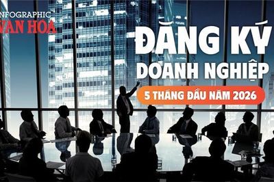 5 tháng đầu năm 2026 có 142,6 nghìn doanh nghiệp gia nhập thị trường