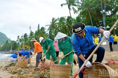 Dọn dẹp, thu gom lục bình dạt vào dày đặc ở các bãi tắm Thành phố Hồ Chí Minh