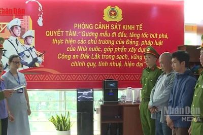 [Video] Khởi tố vụ án vi phạm quy định về kế toán và buôn bán hàng giả