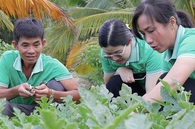 Nông dân Đặc khu Côn Đảo kể chuyện sản xuất xanh