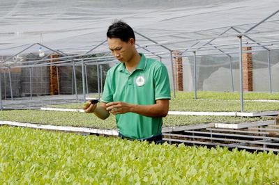 Từ cử nhân kinh tế về quê trồng rau, đưa 'hương vị Châu Pha' ra châu Âu