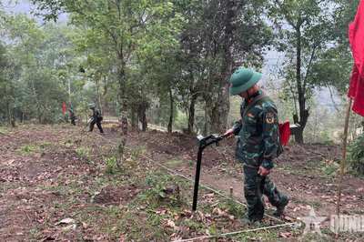 Làm sạch đất thiêng phục vụ công tác tìm kiếm, cất bốc hài cốt liệt sĩ