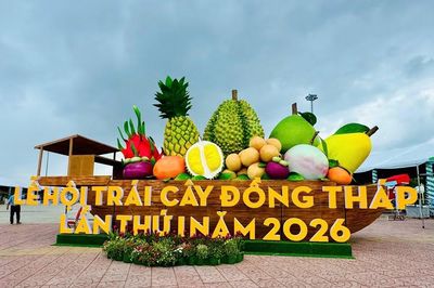 Đồng Tháp thúc đẩy phát triển ngành hàng trái cây theo hướng hiện đại