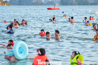 Nô nức đi biển Hạ Long