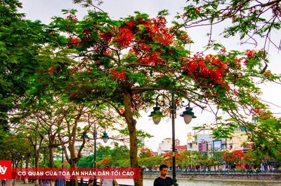 Thời tiết ngày 5/6: Bắc Bộ oi bức, Trung Bộ chạm ngưỡng 39 độ, Nam Bộ mưa dông lớn