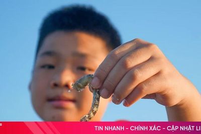 Theo chân bố mẹ ra biển bắt tôm tít