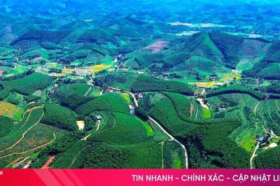 Từ cuộc thi, kể câu chuyện về du lịch Hà Tĩnh đầy sức sống