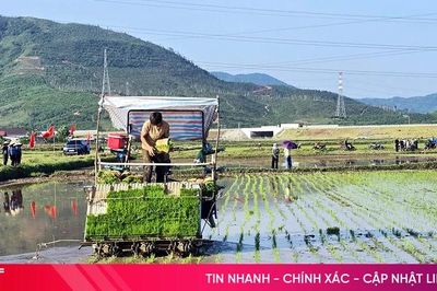 Lần đầu tiên nông dân Kỳ Xuân cấy lúa bằng máy và làm mạ khay