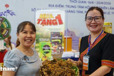 Đà Nẵng phát động Mùa khuyến mại hè 2026 với ưu đãi lên đến 100%