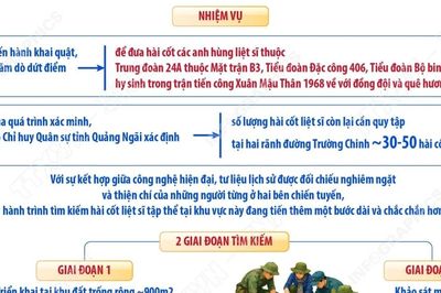 Khai quật, tìm kiếm và quy tập hài cốt liệt sỹ tại 2 phường ở tỉnh Quảng Ngãi