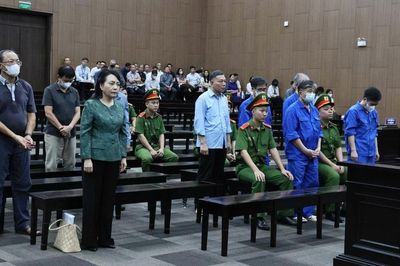 Đề xuất tạm hoãn truy cứu hình sự sai phạm kinh tế: Chuyên gia nói gì?
