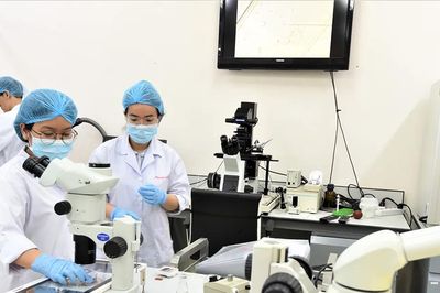 Nghị định 179 tạo 'đòn bẩy' phát triển nhân lực công nghệ cao
