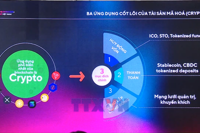 Quản trị rủi ro trong thị trường tài sản số