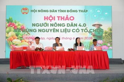 Đồng Tháp xây dựng vùng nguyên liệu tập trung phục vụ xuất khẩu