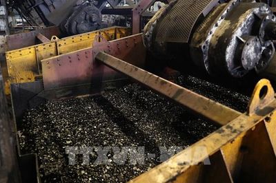 Nhu cầu than trong tháng 5 cao nhất từ đầu năm đến nay