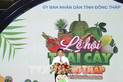 Đồng Tháp khai mạc Lễ hội trái cây lần thứ I năm 2026