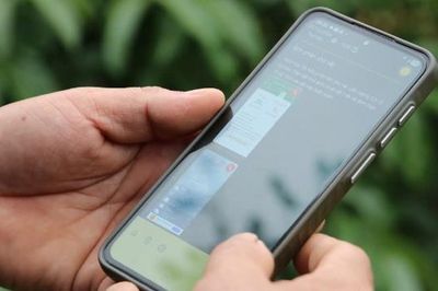 Bắc Ninh: Tăng cường quản lý mã số vùng trồng, hỗ trợ nông sản xuất khẩu