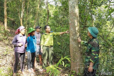 Gìn giữ kho báu sinh học nơi cực Tây Tổ quốc