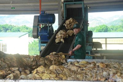 Doanh nghiệp với trách nhiệm bảo vệ môi trường