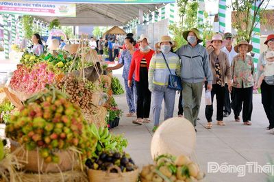 Đồng Tháp sẵn sàng cho Chương trình Khai mạc Lễ hội Trái cây lần thứ I