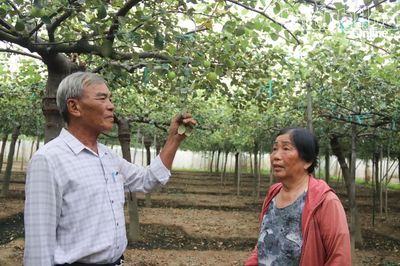 Kỷ niệm 85 năm Ngày truyền thống Người cao tuổi Việt Nam (6-6-1941 - 6-6-2026): Những 'cây cao bóng cả'