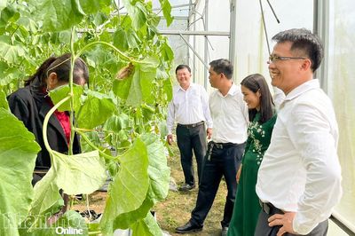 Xã Suối Dầu: Ra mắt Tổ hội Nông dân nghề nghiệp 'Trồng dưa lưới trong nhà kính'