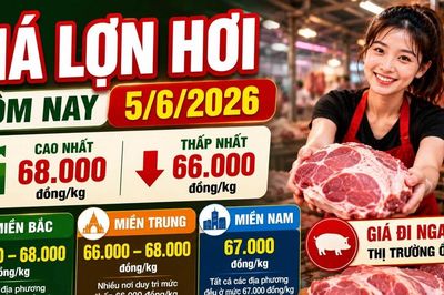Giá lợn hơi hôm nay 5/6: Miền Bắc giữ đỉnh 68.000 đồng/kg