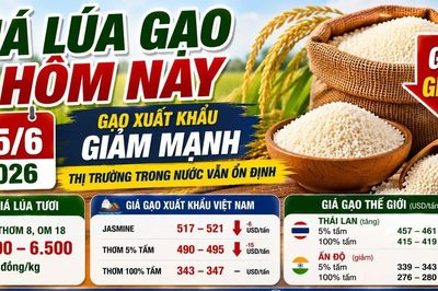Giá lúa gạo hôm nay 5/6: Lúa trong nước vẫn đứng giá